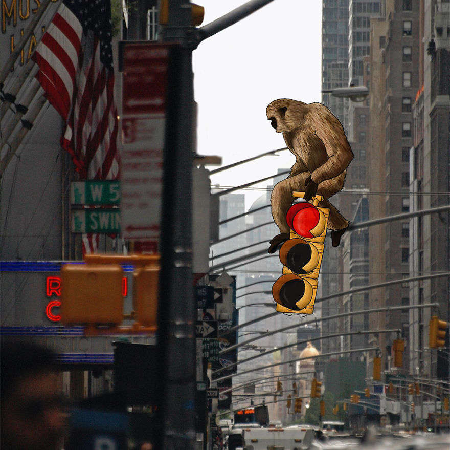 Czech Animator Adds Her Witty Illustrations To Photos Of New York 