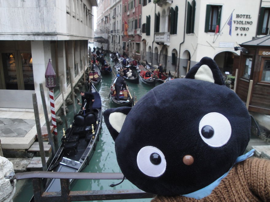 Meet Choco Cat: The Most Well-Traveled Kitty With His Own Passpurr