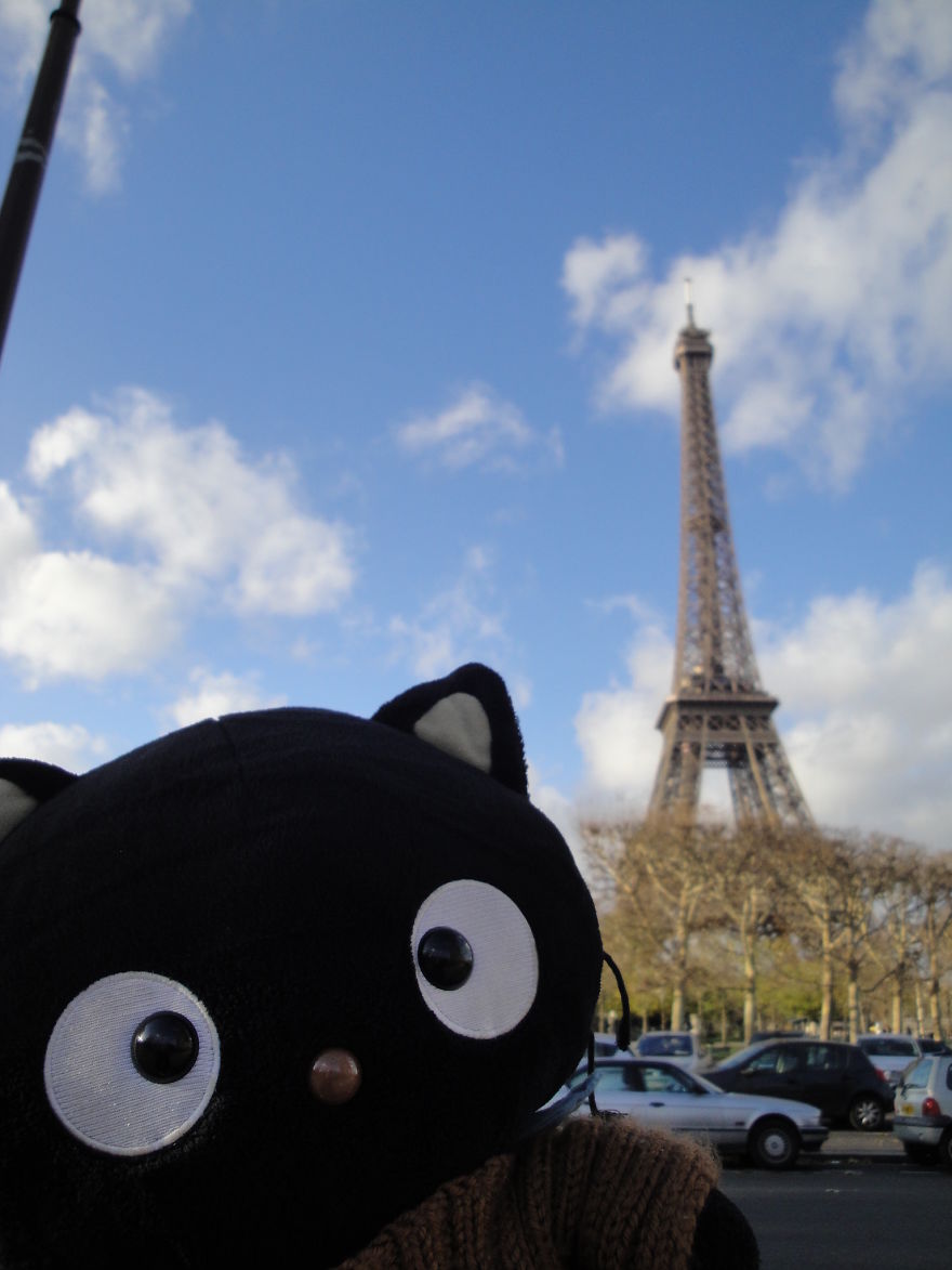Meet Choco Cat: The Most Well-Traveled Kitty With His Own Passpurr