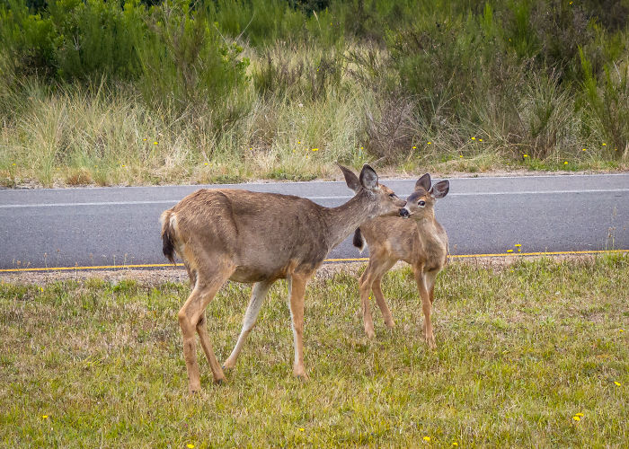 Mom, You're Embarrassing Me!