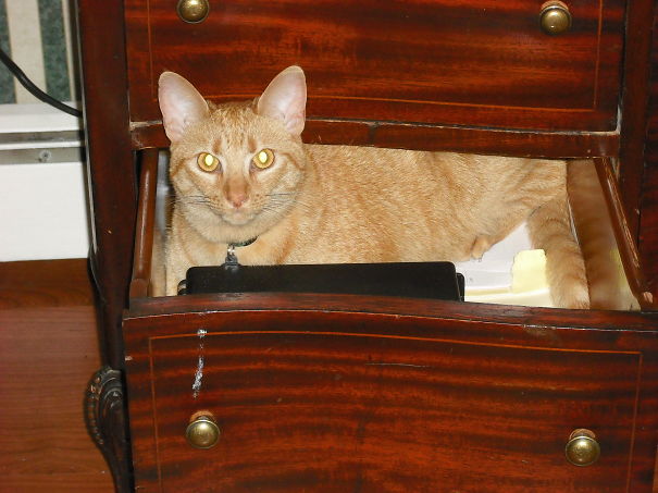 What Do You Mean You Have To Close The Drawer?