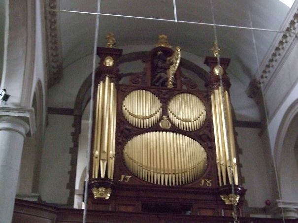 Ape Face Organ In Uk