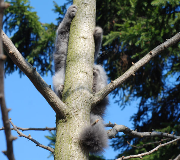 When I Don't See You I Become Invisible!