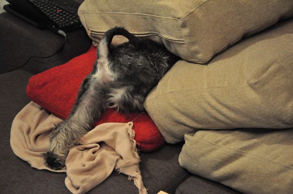 Almost There, All Hidden