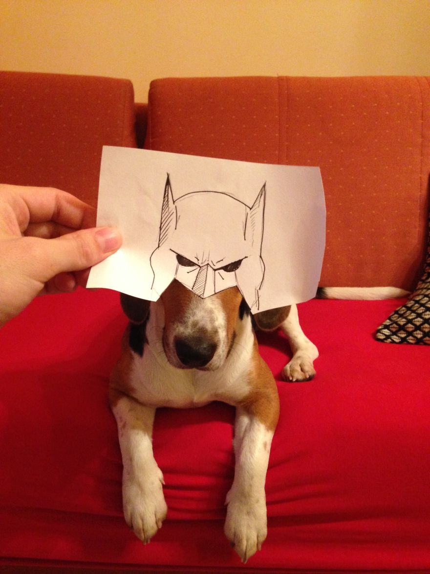 I Create Funny Eye Illustrations For My Dog Juno I Create Funny Eye Illustrations For My Dog Juno