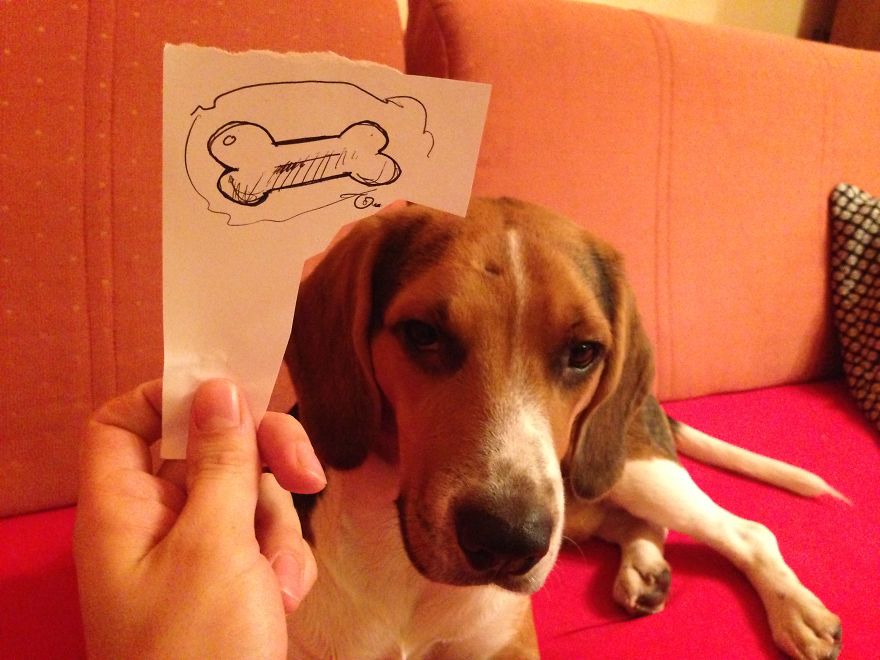 I Create Funny Eye Illustrations For My Dog Juno