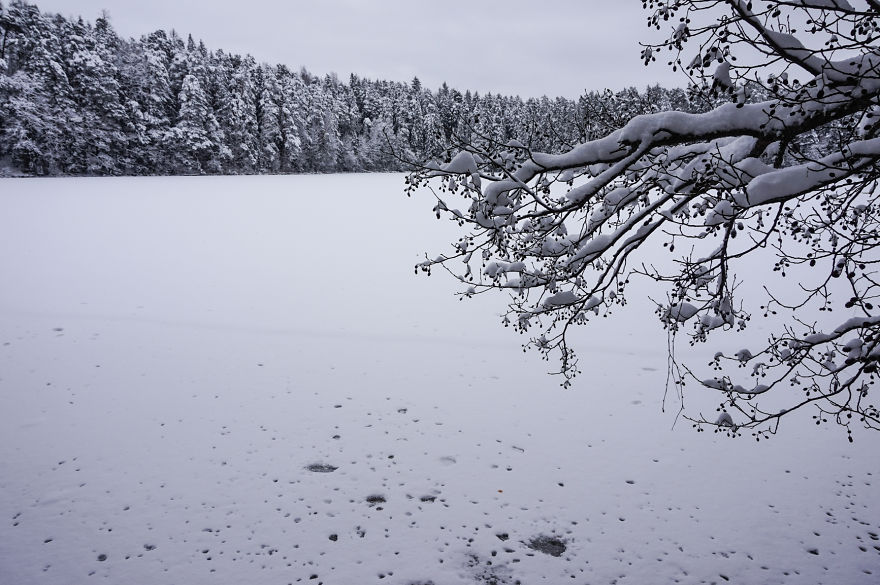 Estonian Winter Wonderland