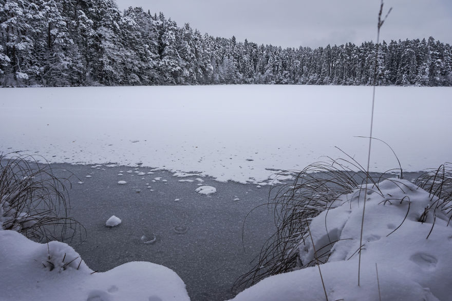 Estonian Winter Wonderland