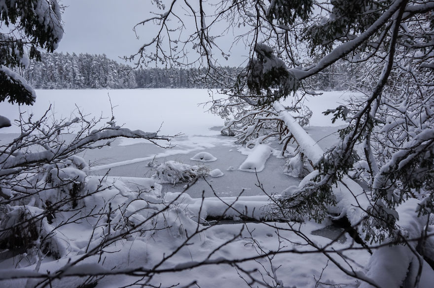 Estonian Winter Wonderland