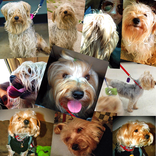 Finn's Adoption Transformation