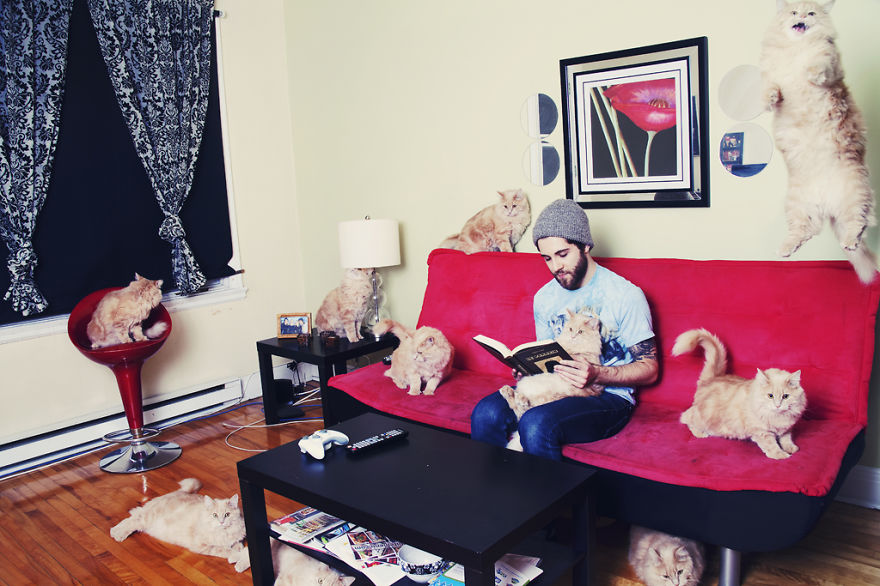 My Photos Of Crazy Cat Lovers