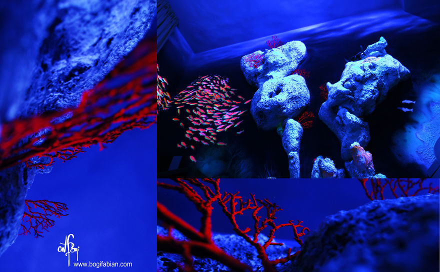 When The Lights Go Out, My Glowing Murals Turn These Rooms Into Dreamy Worlds When The Lights Go Out, My Glowing Murals Turn These Rooms Into Dreamy Worlds