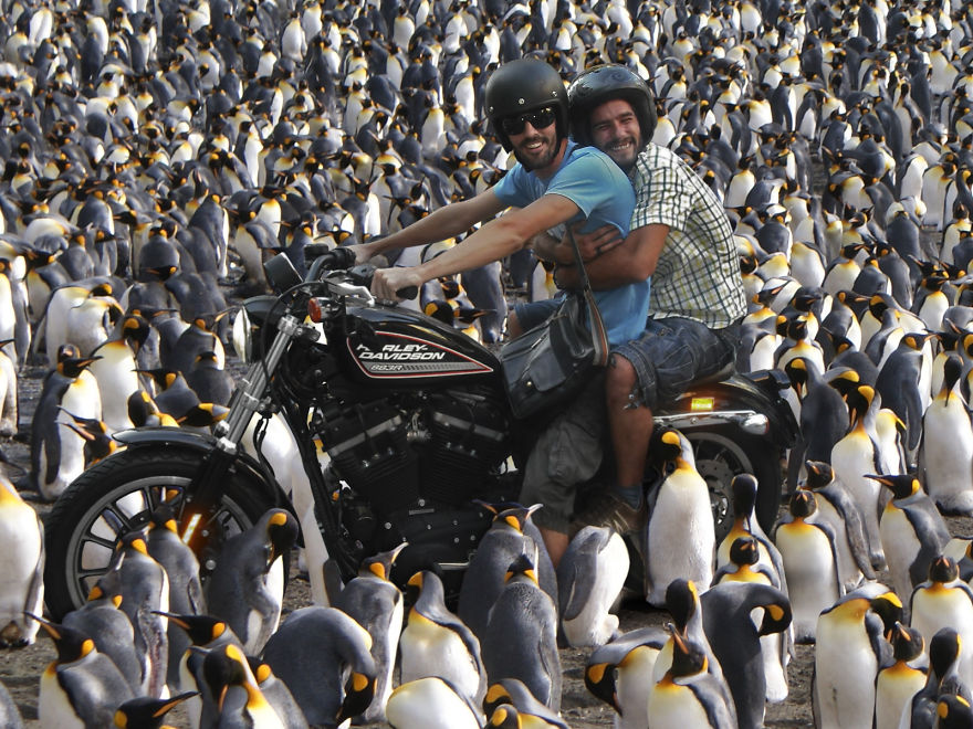 My Friend And I Traveling The World On A Harley Davidson