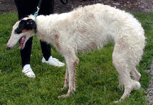 Nadya Day After House Of Horrors And After