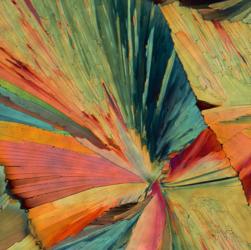 Campari (polarized Light)