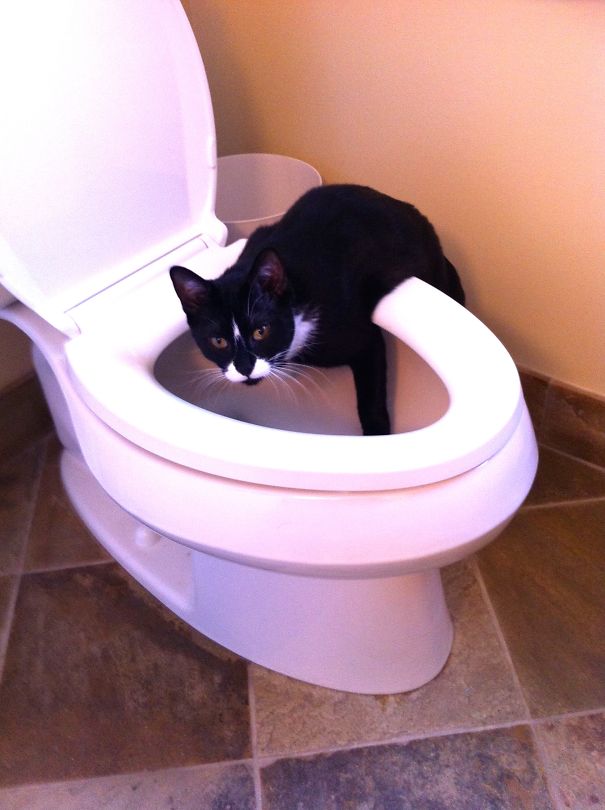 The Cleanest, Coldest Water In The House.