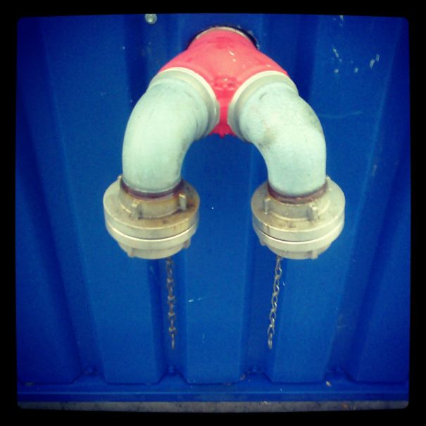 Mickey Mouse S(t)ucks