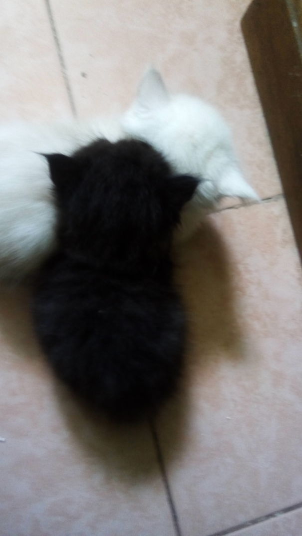 "she Looks Comfy, I Need To Sleeps There Too. "