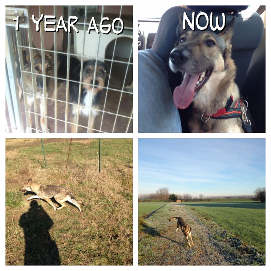 #dana 1 Year Later!