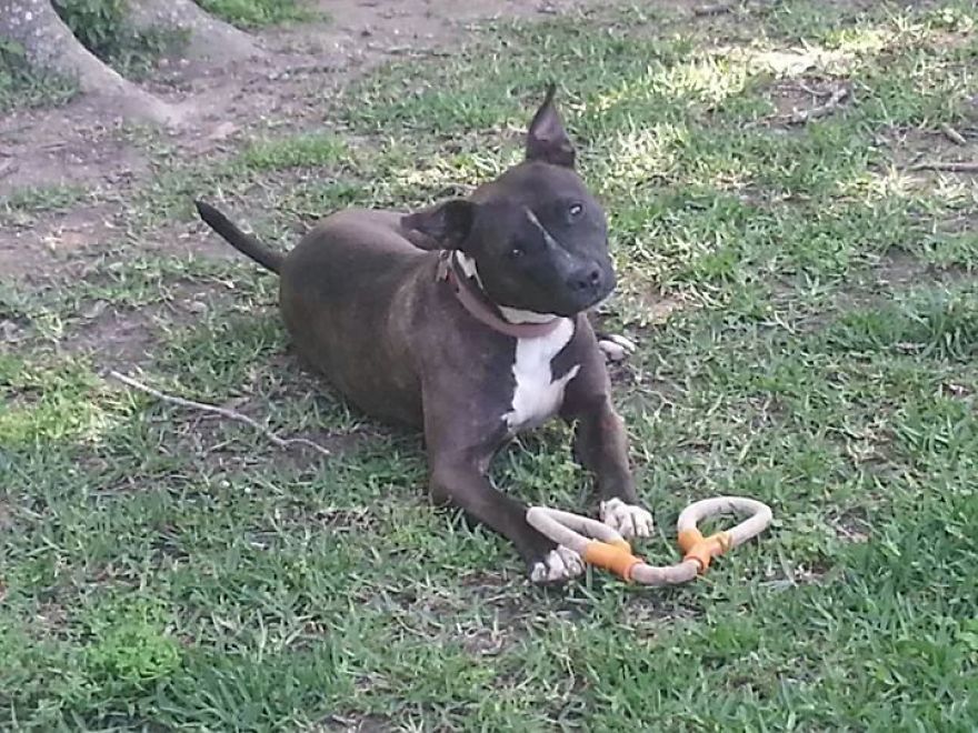 Pretty After Being Fostered By Me