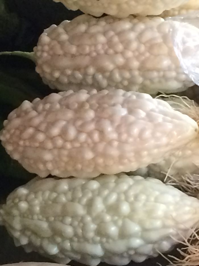 I Have No Idea What It Is.