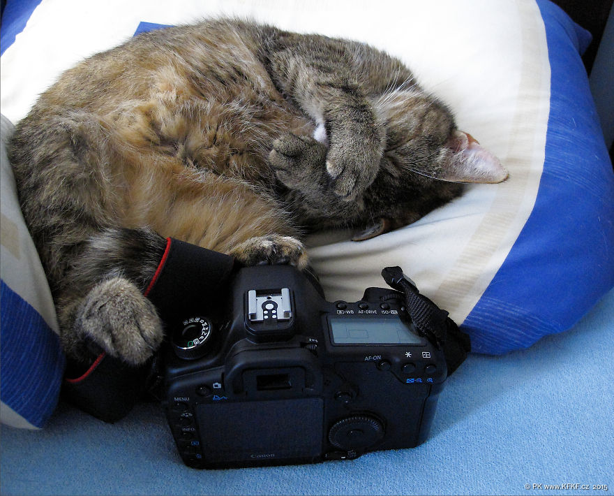 I Have Seen Your Last Works! Don't You Dare To Do More!