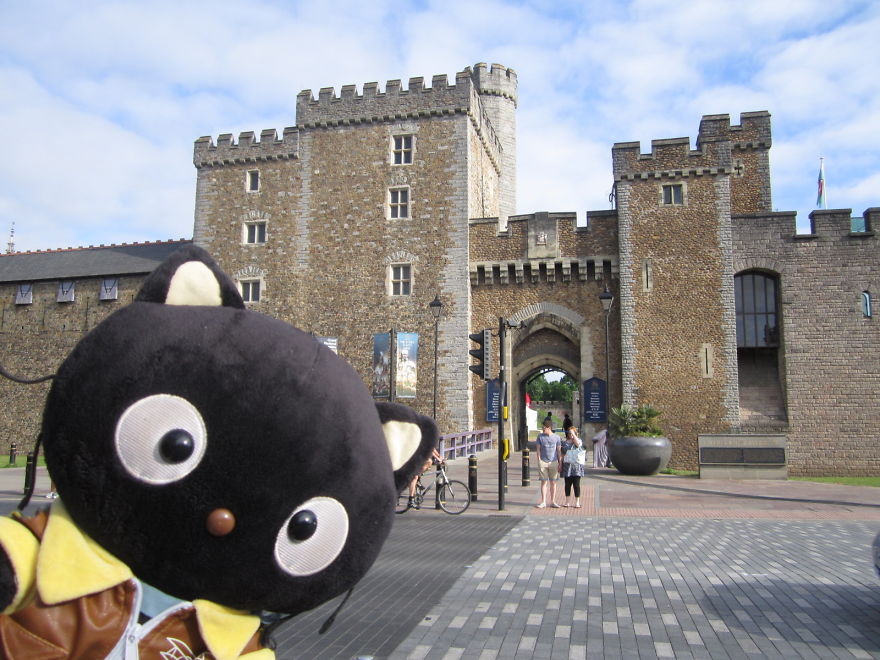 Meet Choco Cat: The Most Well-Traveled Kitty With His Own Passpurr