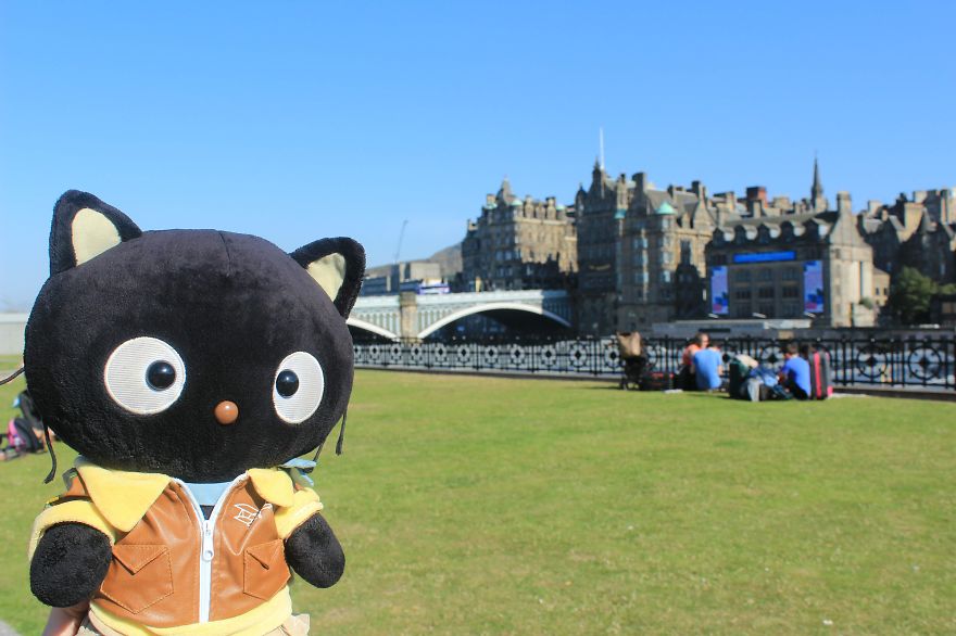 Meet Choco Cat: The Most Well-Traveled Kitty With His Own Passpurr