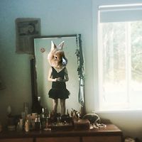 Amber the Grey avatar