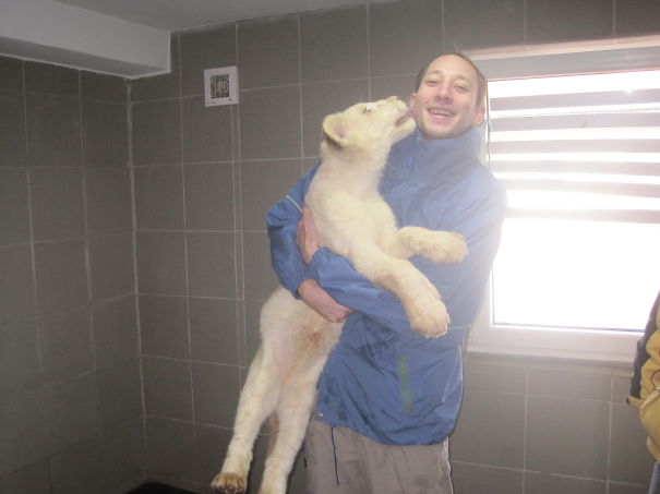 Litle Bit Bigger Kitty