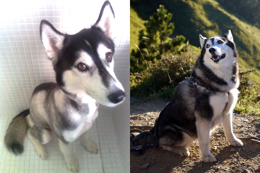 Nana After 5 Years Adoption