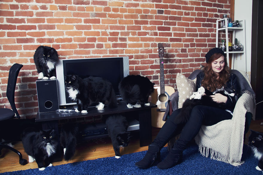 My Photos Of Crazy Cat Lovers