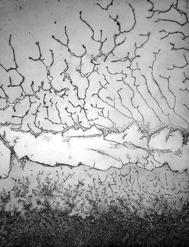 It Matters Why You Cry - Different Types Of Tears.