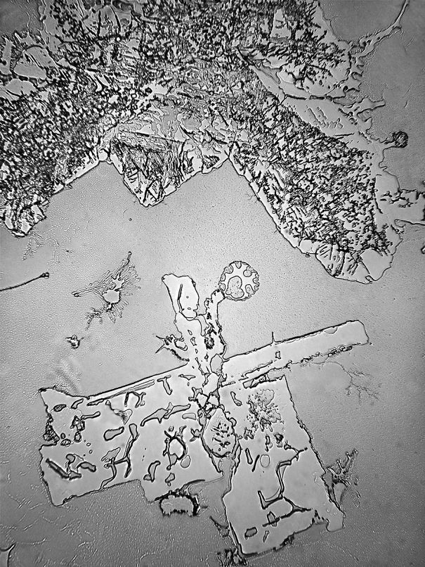 It Matters Why You Cry - Different Types Of Tears.