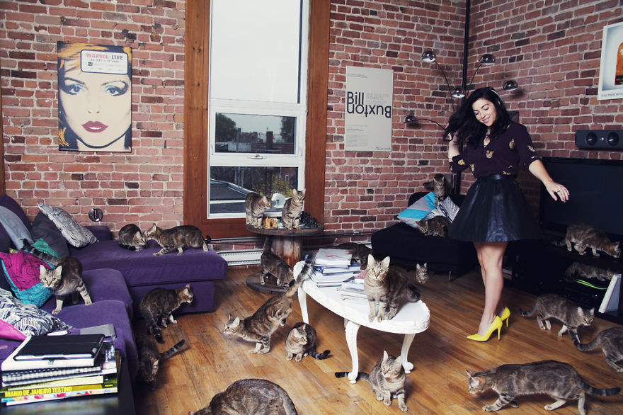 My Photos Of Crazy Cat Lovers