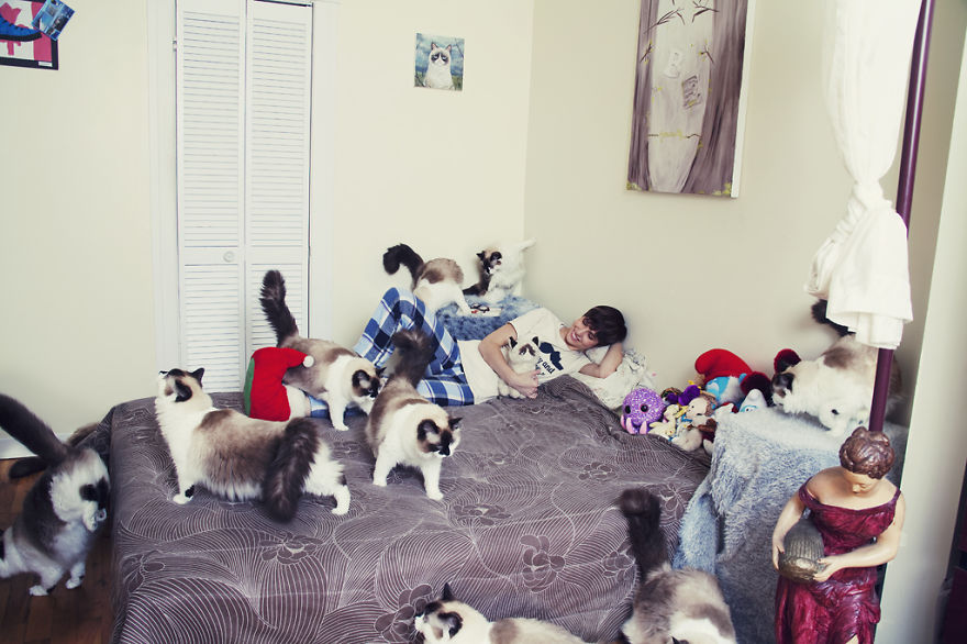 My Photos Of Crazy Cat Lovers