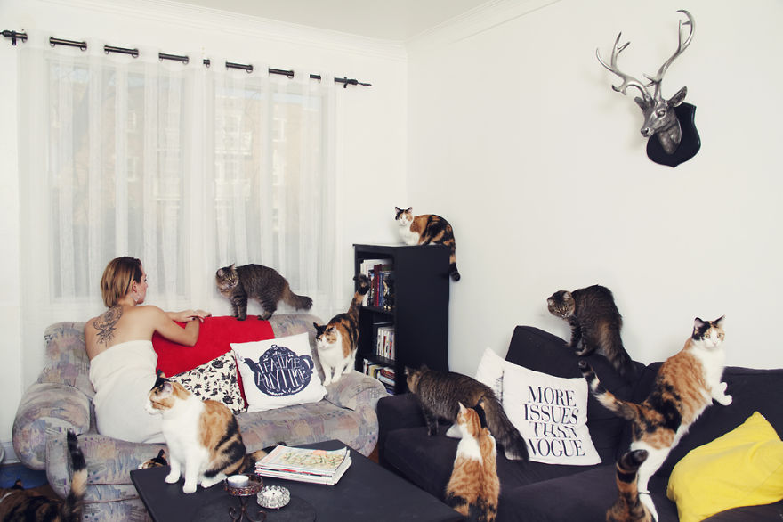 My Photos Of Crazy Cat Lovers