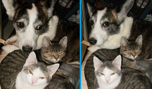 Mali Babysitting....