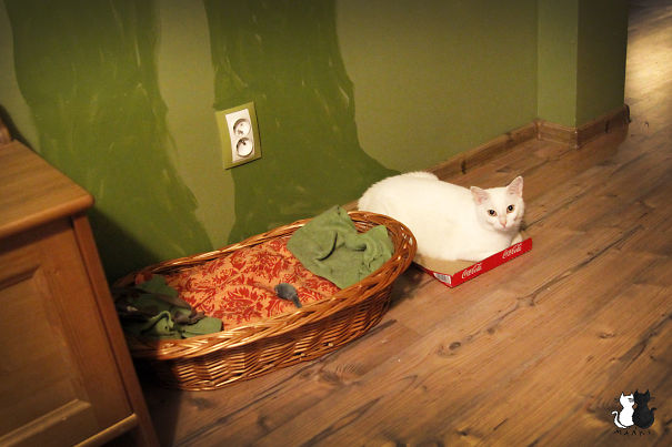 This One Is Better!! :)