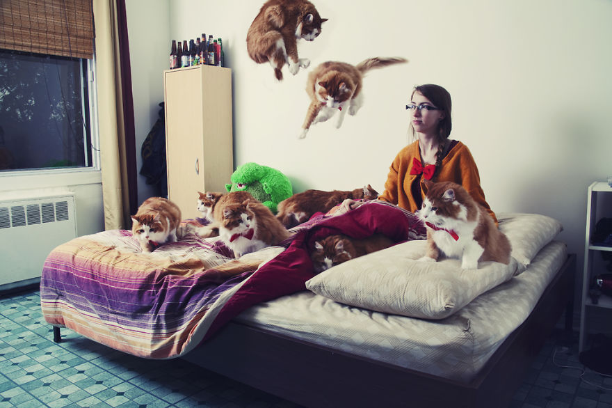 My Photos Of Crazy Cat Lovers