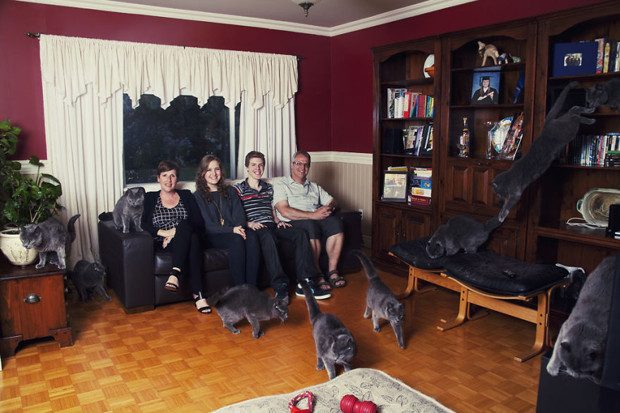 My Photos Of Crazy Cat Lovers