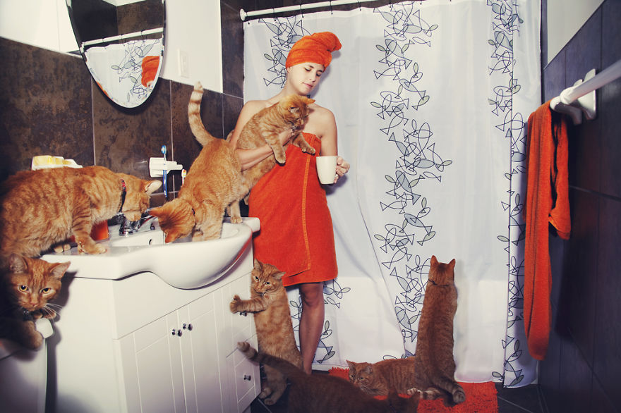 My Photos Of Crazy Cat Lovers