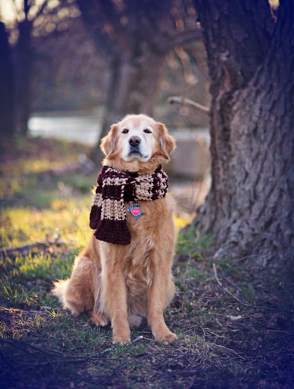 Willie From Everybodyloveswillie.tumblr.com Loves Wearing Stuff His Momma Makes For Him