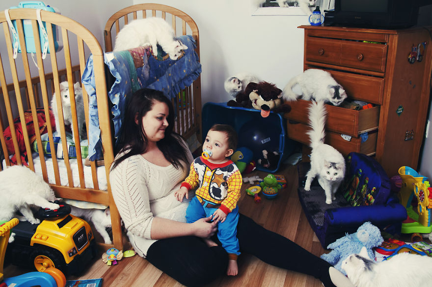 My Photos Of Crazy Cat Lovers