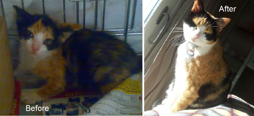 Miranda ("which Has To Be Admired")