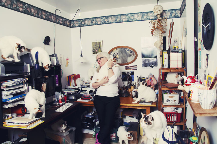 My Photos Of Crazy Cat Lovers