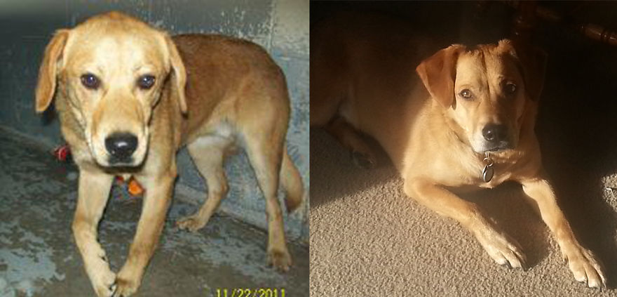 Mosby: From Shelter To Sunlight