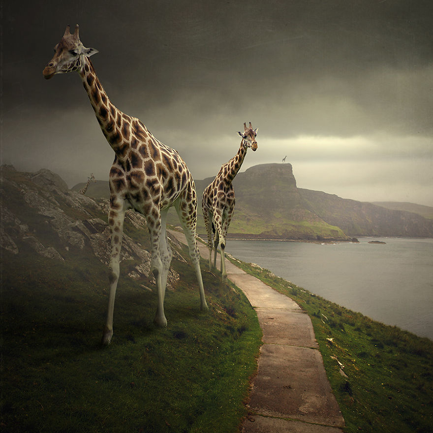 I Create Surreal Illustrations Based On My Darkest Visions And Dreams I Create Surreal Illustrations Based On My Darkest Visions And Dreams