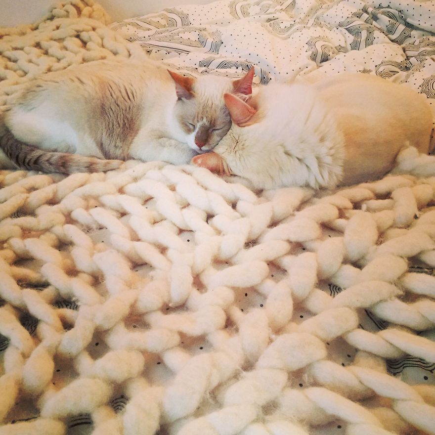 No, I'm Not Thumbelina. I Just Knit With Giant Needles And Yarn