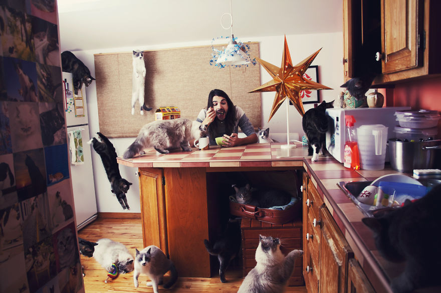 My Photos Of Crazy Cat Lovers